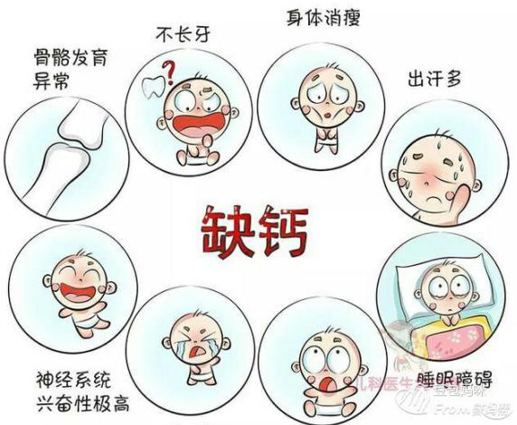 1569063913601326.png 钙1.png